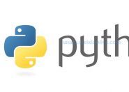 如何在 Python 中下载文件
