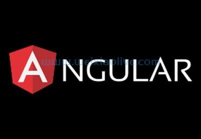 在Angular中创建一个Library Finder应用程序：简介  第1张
