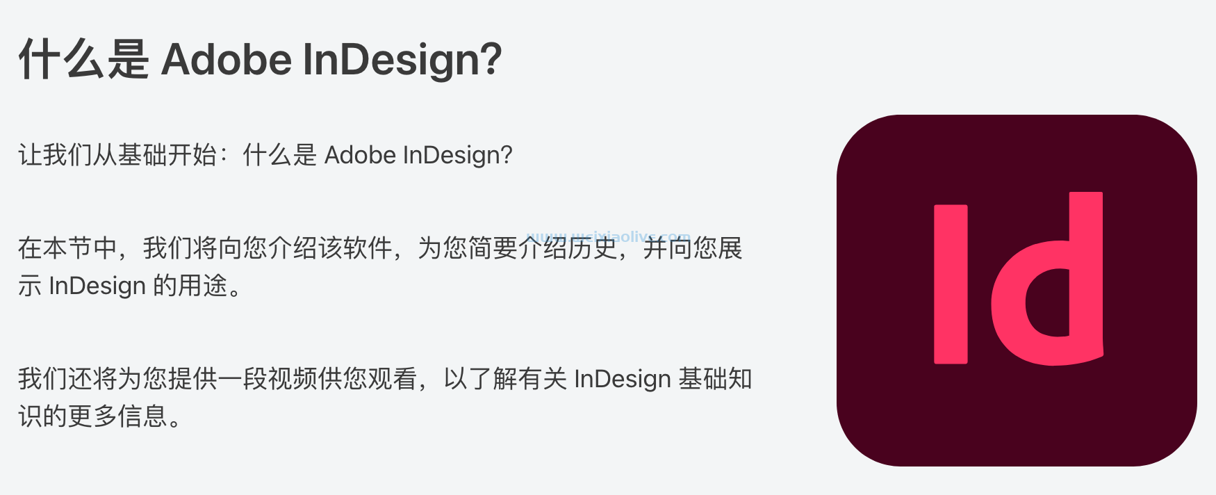 什么是 Adob​​e InDesign？