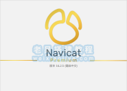 数据库管理工具Navicat premium 16绿色中文版