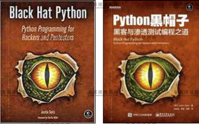 Python黑帽子——黑客与渗透测试编程之道(电子书)