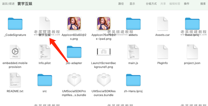 苹果应用ipa文件修改教程（如何修改ipa文件）  第4张