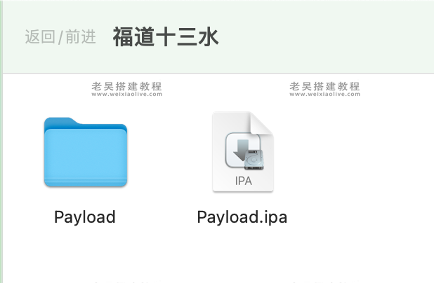 苹果应用ipa文件修改教程（如何修改ipa文件）  第6张