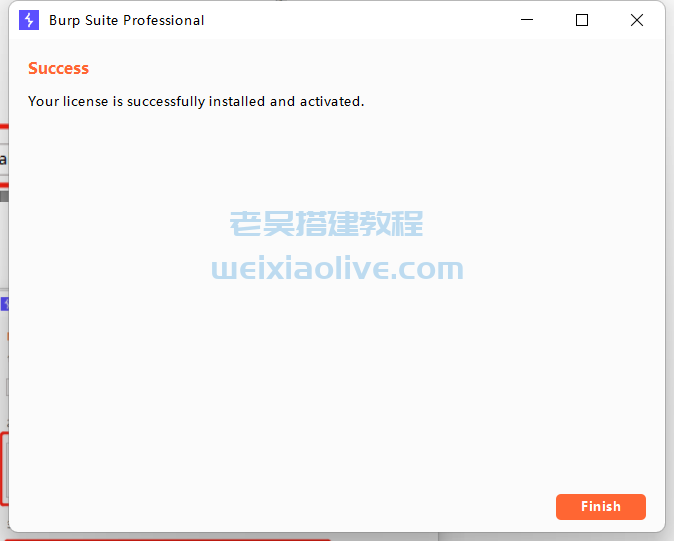 BurpSuite V2022.8.4 中文破解版抓包工具（附汉化包）  第7张