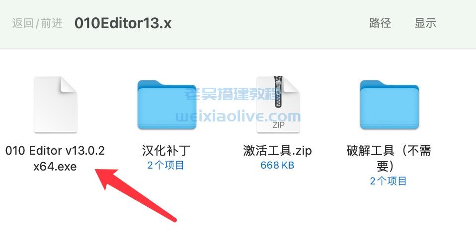 十六进制编辑器 010 Editor v13.0.2 安装注册激活汉化教程  第2张
