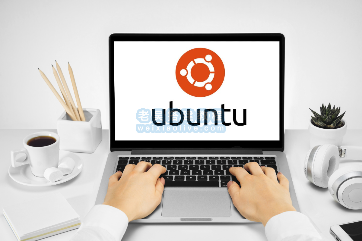 如何在 Ubuntu 上安装 Java