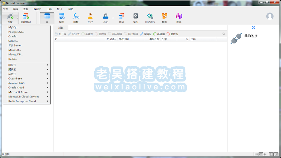 数据库管理工具Navicat premium 16绿色中文版  第2张