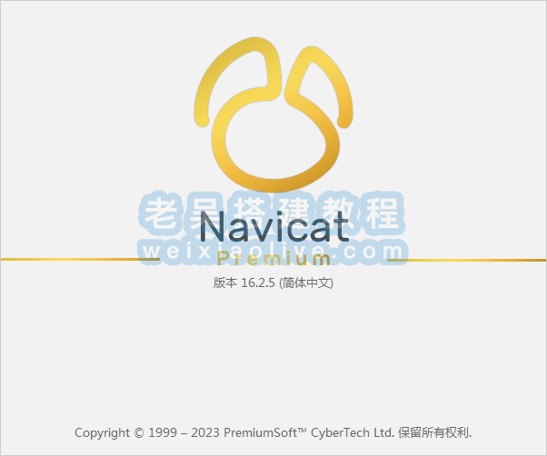 数据库管理工具Navicat premium 16.3.8绿色window中文版  第1张