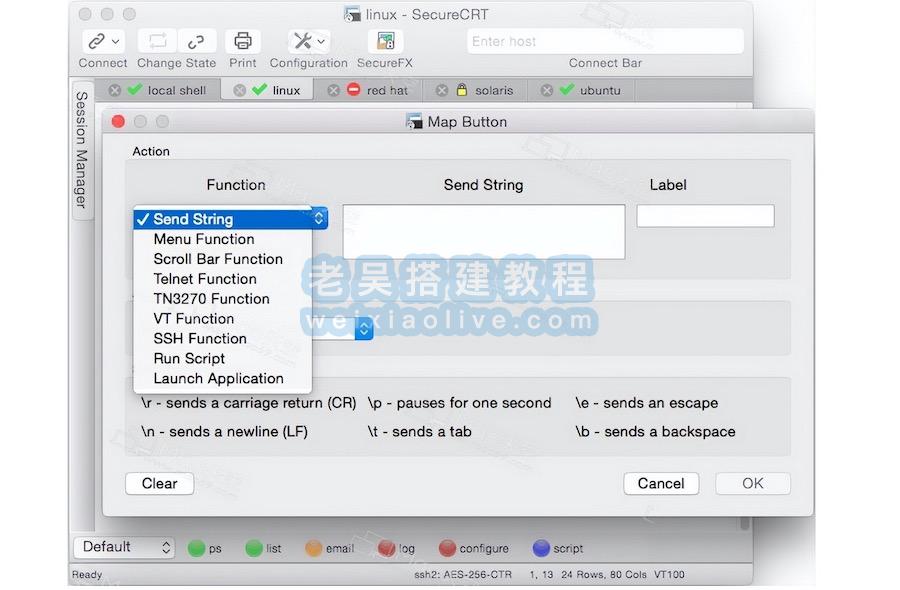 SSH终端仿真工具SecureCRT for Mac 9.5 免激活版  第1张