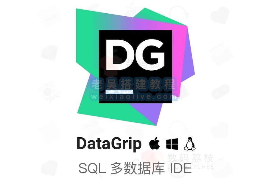 多引擎数据库管理开发工具JetBrains DataGrip for Mac 2023.3.3中文版  第1张