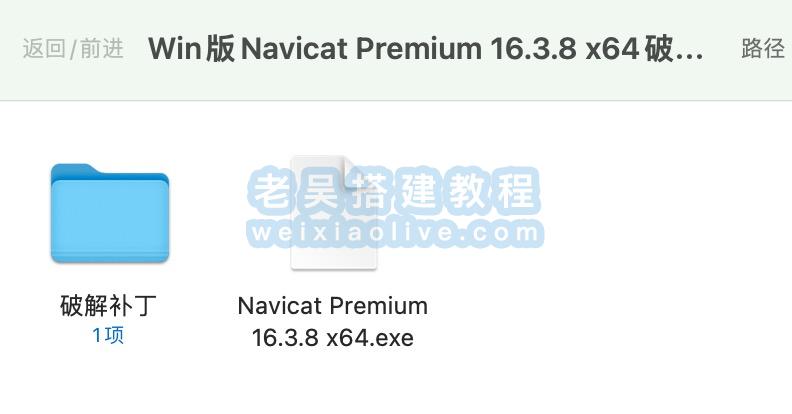 数据库管理工具Navicat premium 16.3.8绿色window中文版  第3张